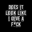 Load image into Gallery viewer, DOES IT LOOK LIKE I GIVE A F*CK