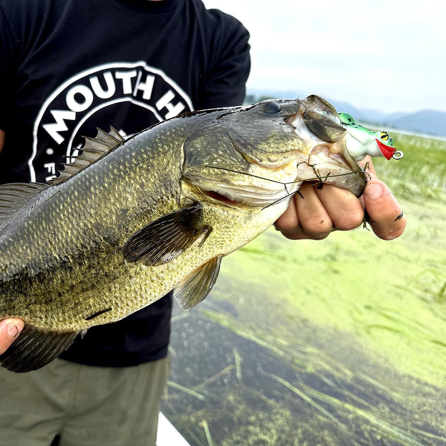 MOUTH HUG® Fishing Company – Mouth Hug Fishing Company