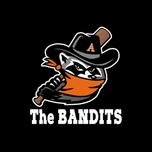 THE BANDITS ADULT